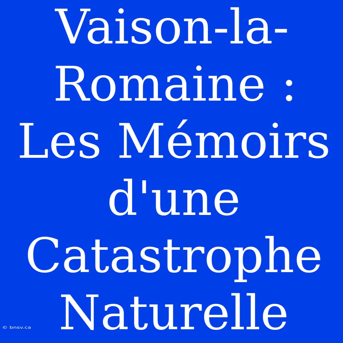 Vaison-la-Romaine : Les Mémoirs D'une Catastrophe Naturelle