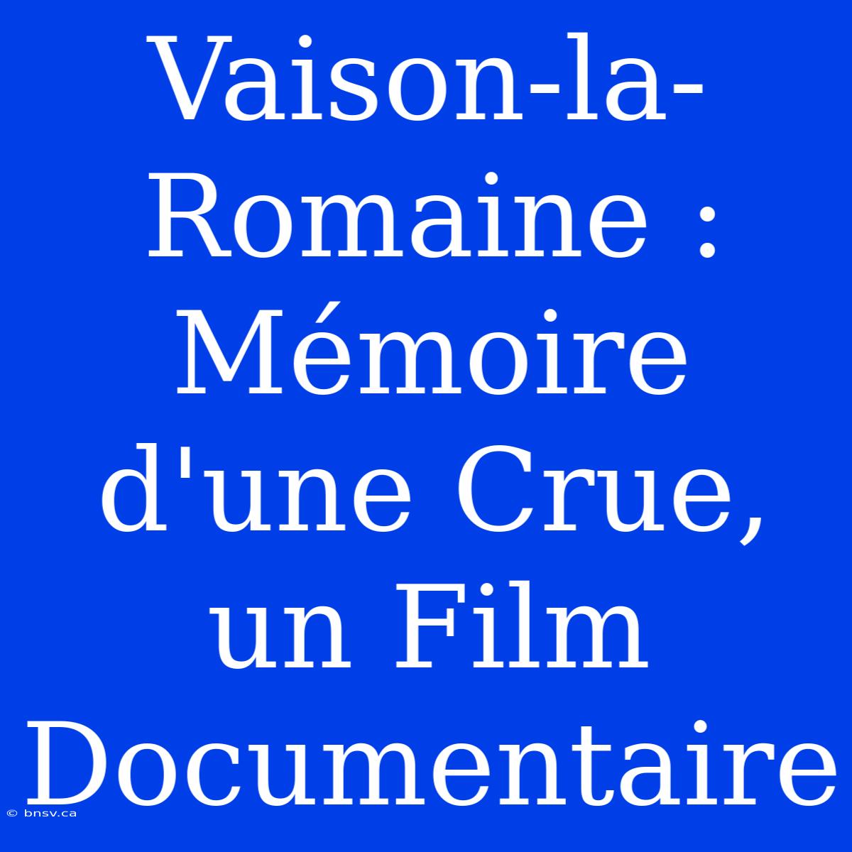 Vaison-la-Romaine : Mémoire D'une Crue, Un Film Documentaire