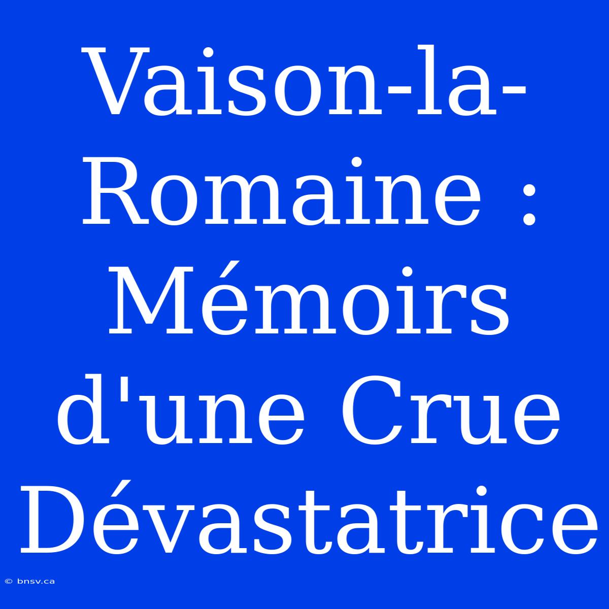 Vaison-la-Romaine : Mémoirs D'une Crue Dévastatrice