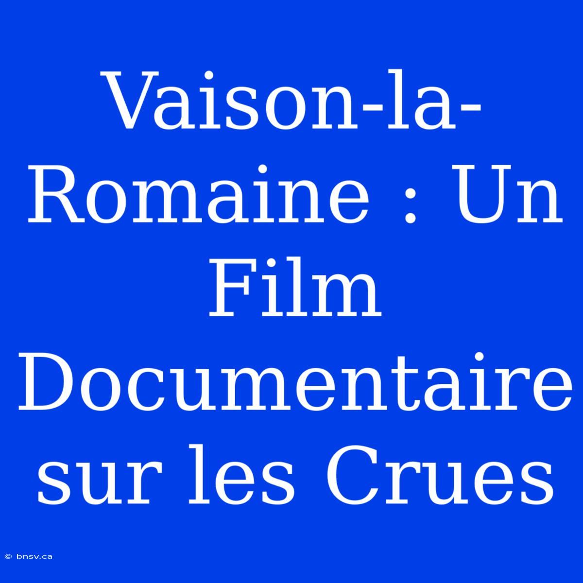 Vaison-la-Romaine : Un Film Documentaire Sur Les Crues