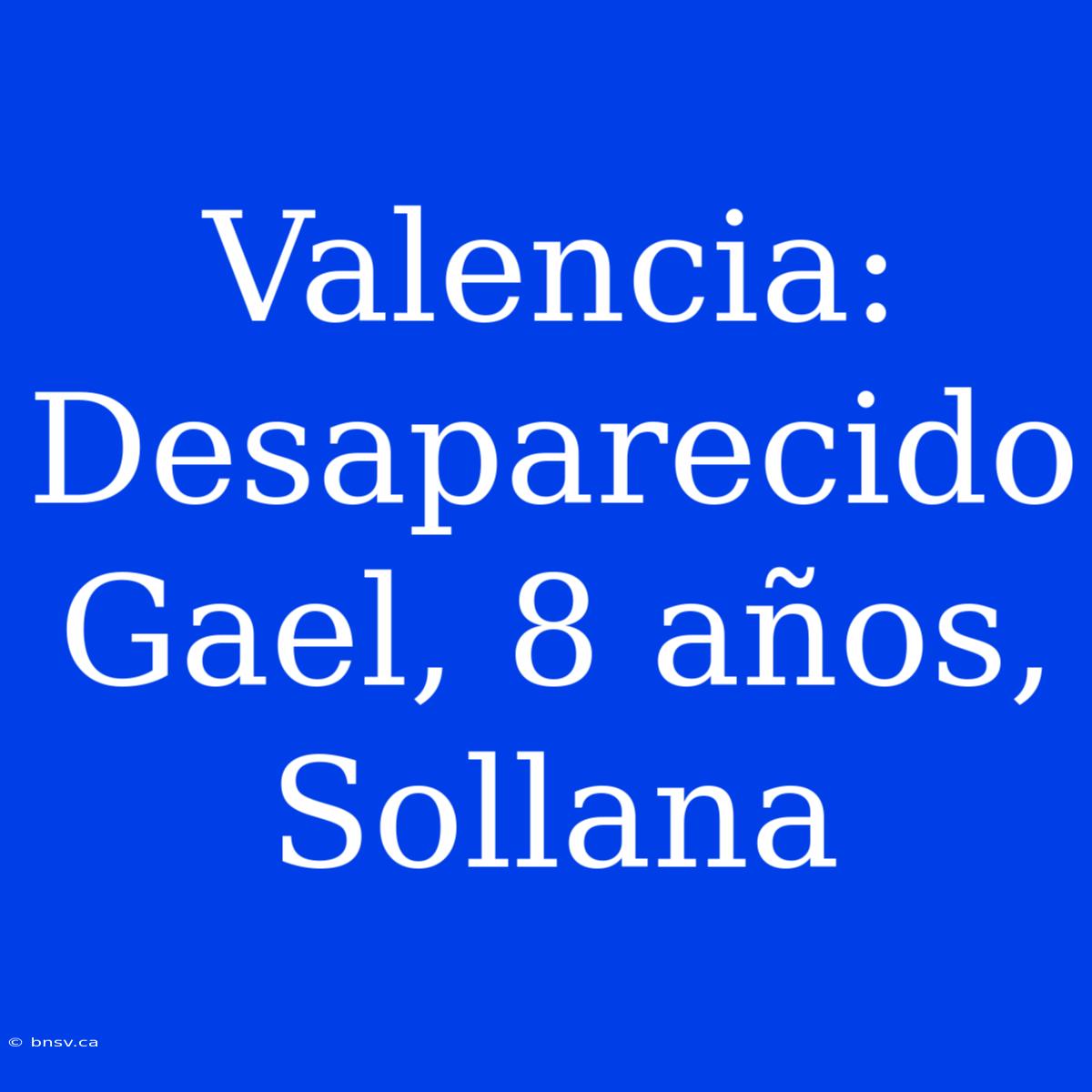 Valencia: Desaparecido Gael, 8 Años, Sollana