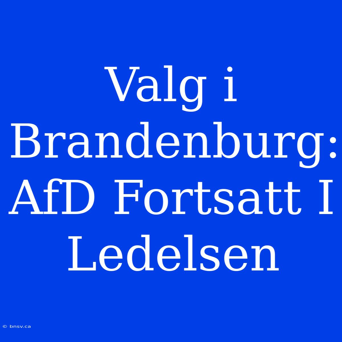 Valg I Brandenburg: AfD Fortsatt I Ledelsen