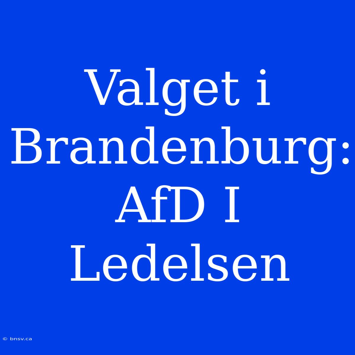 Valget I Brandenburg: AfD I Ledelsen