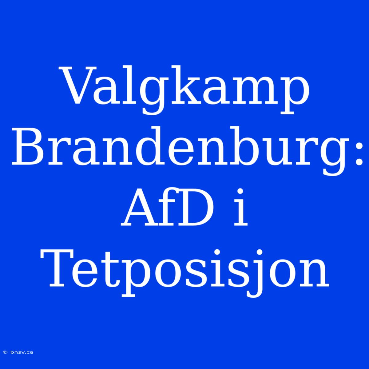 Valgkamp Brandenburg: AfD I Tetposisjon