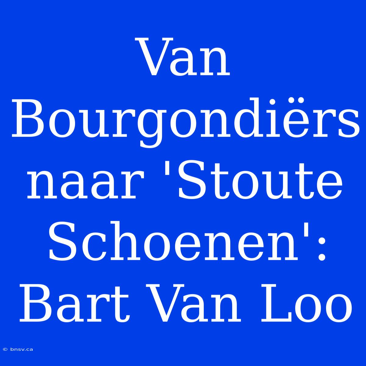 Van Bourgondiërs Naar 'Stoute Schoenen': Bart Van Loo