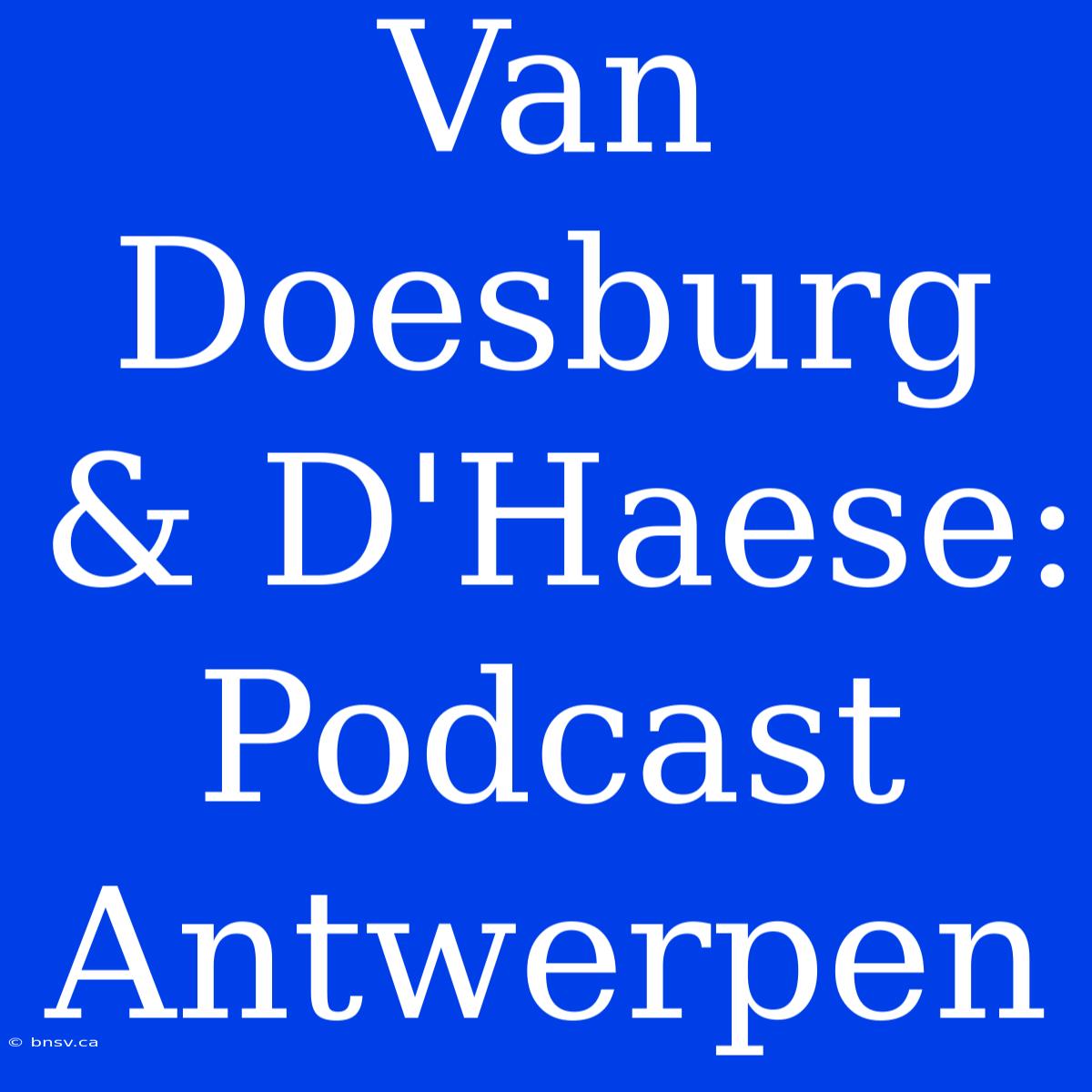 Van Doesburg & D'Haese: Podcast Antwerpen