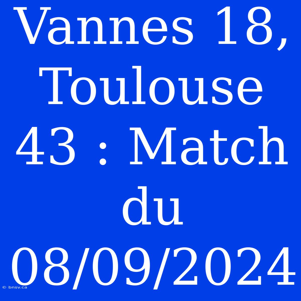 Vannes 18, Toulouse 43 : Match Du 08/09/2024