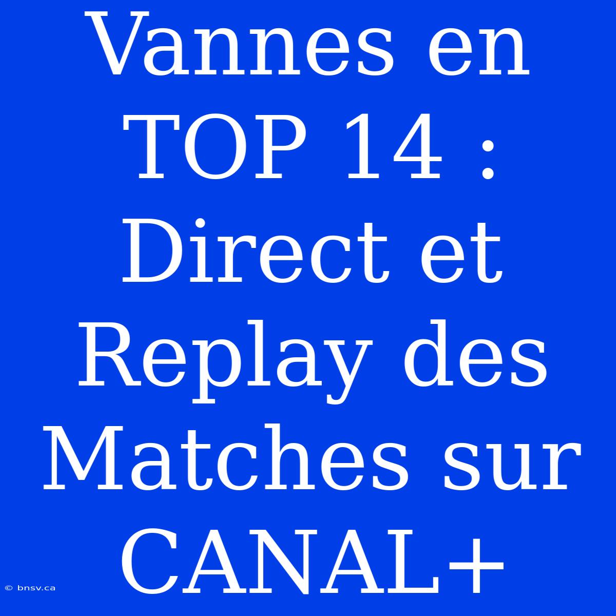 Vannes En TOP 14 : Direct Et Replay Des Matches Sur CANAL+