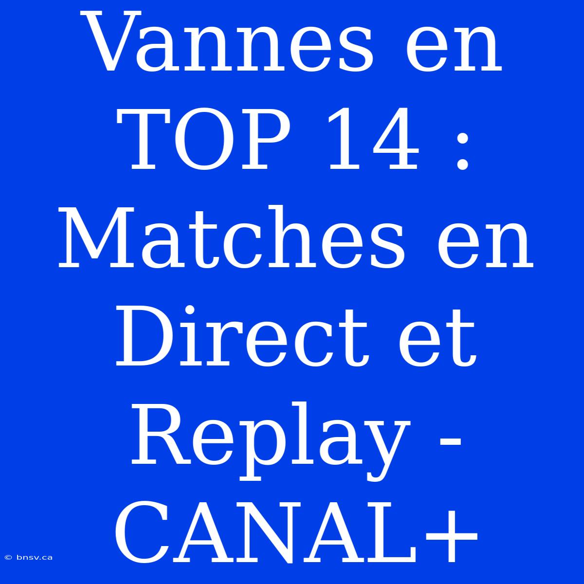 Vannes En TOP 14 : Matches En Direct Et Replay - CANAL+