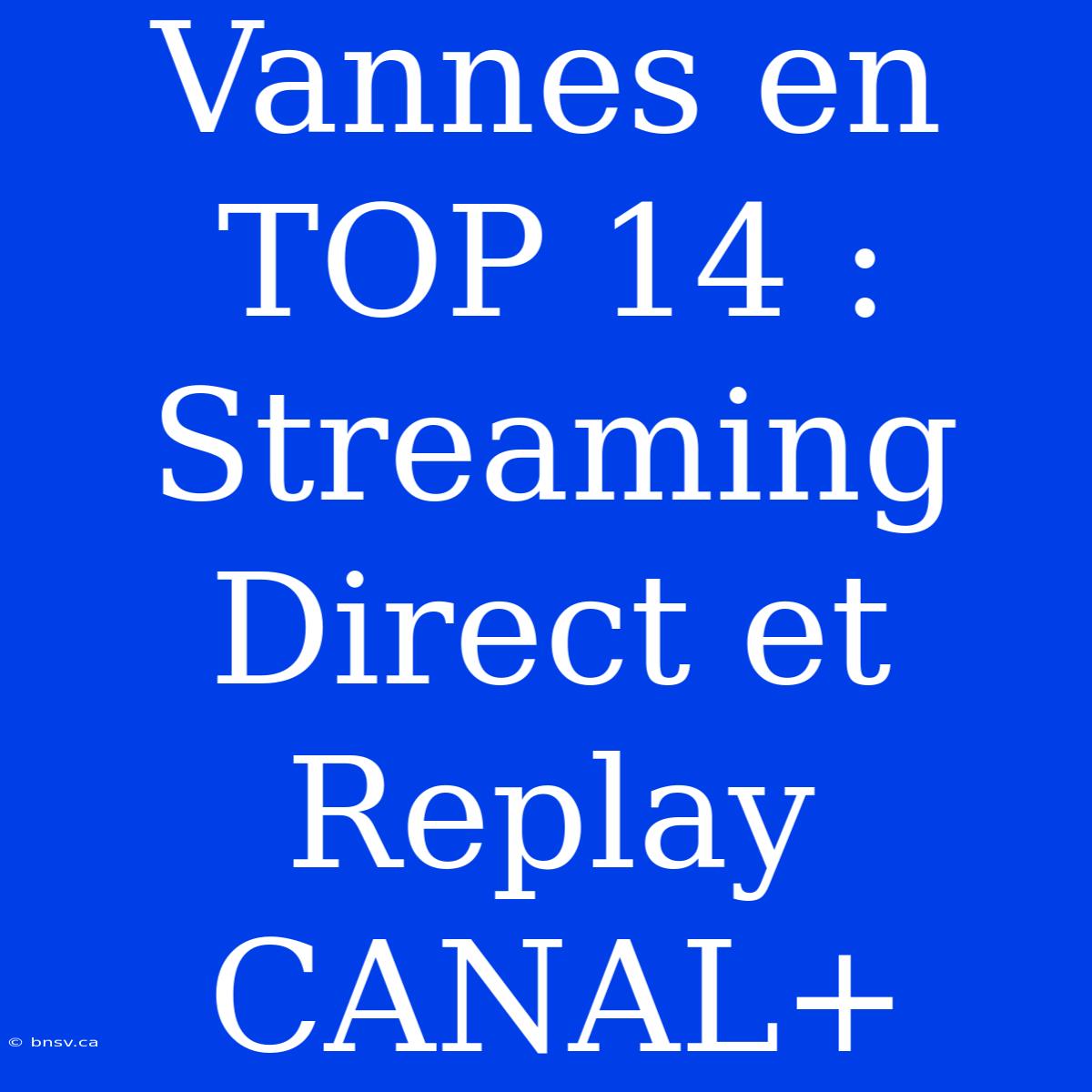 Vannes En TOP 14 : Streaming Direct Et Replay CANAL+