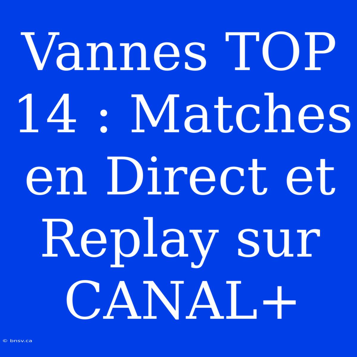 Vannes TOP 14 : Matches En Direct Et Replay Sur CANAL+