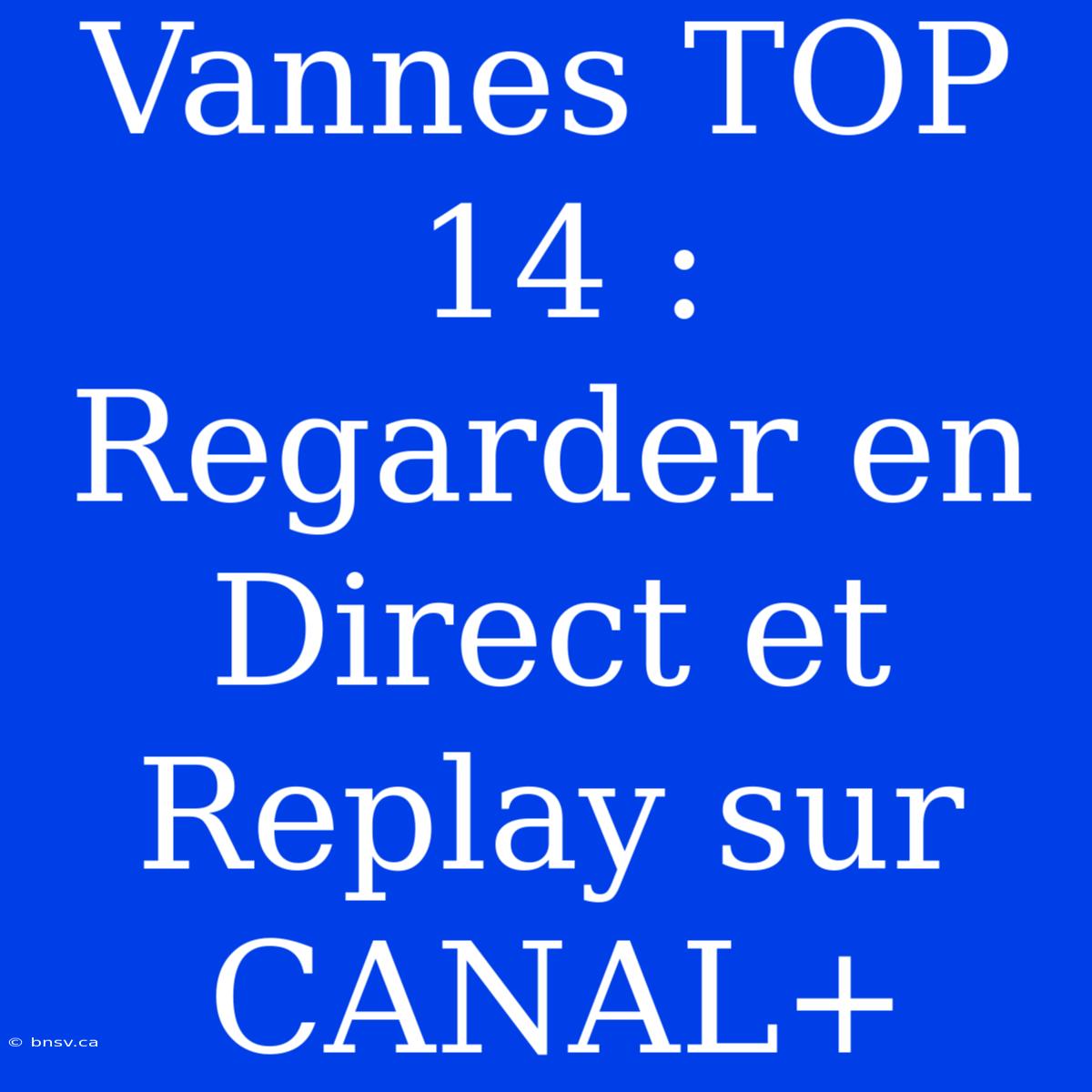 Vannes TOP 14 : Regarder En Direct Et Replay Sur CANAL+