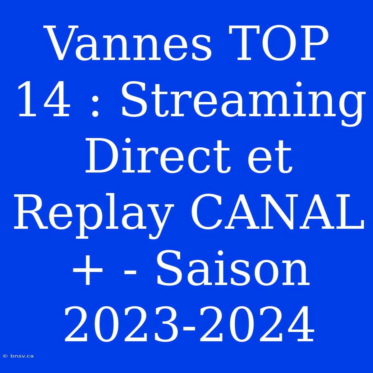 Vannes TOP 14 : Streaming Direct Et Replay CANAL+ - Saison 2023-2024