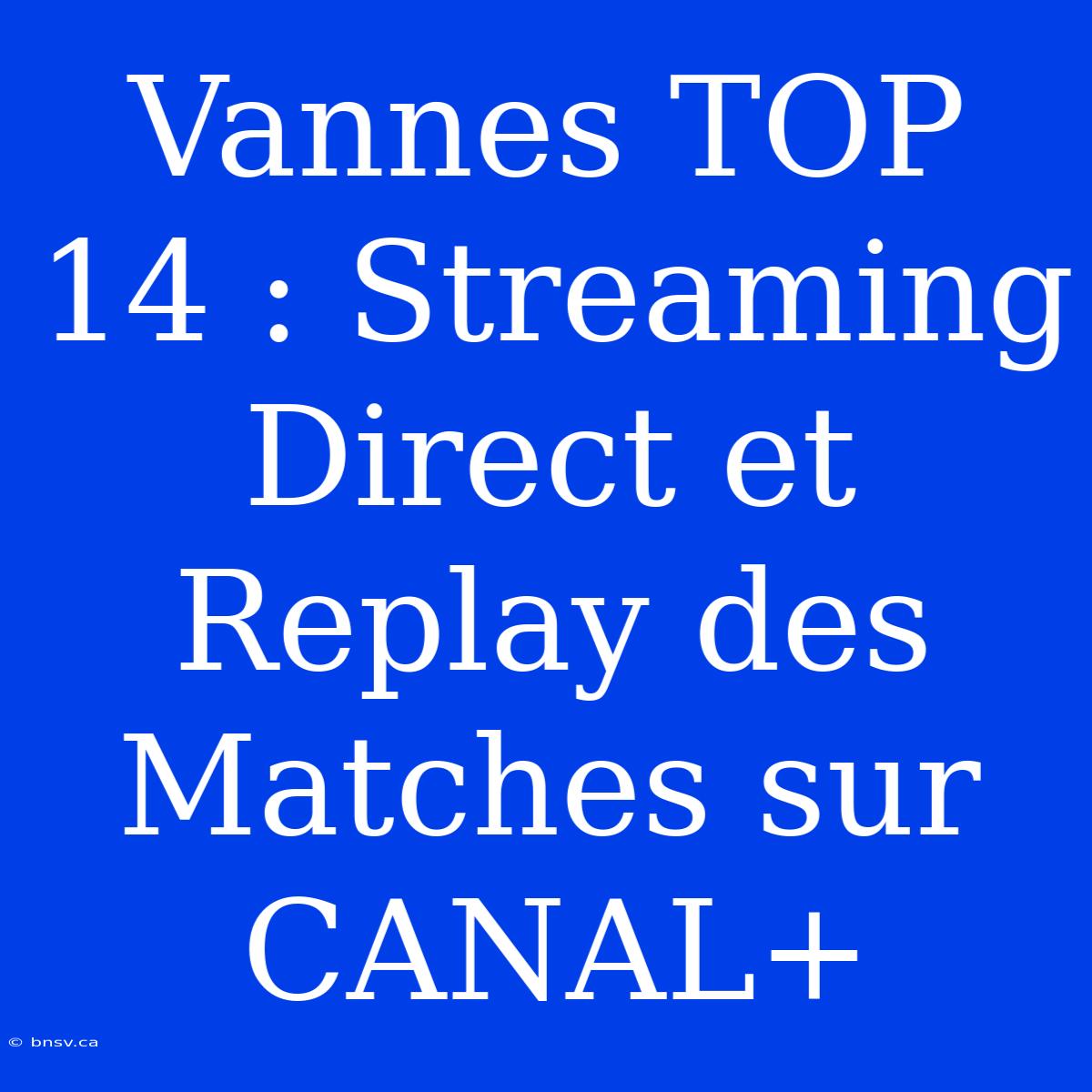 Vannes TOP 14 : Streaming Direct Et Replay Des Matches Sur CANAL+