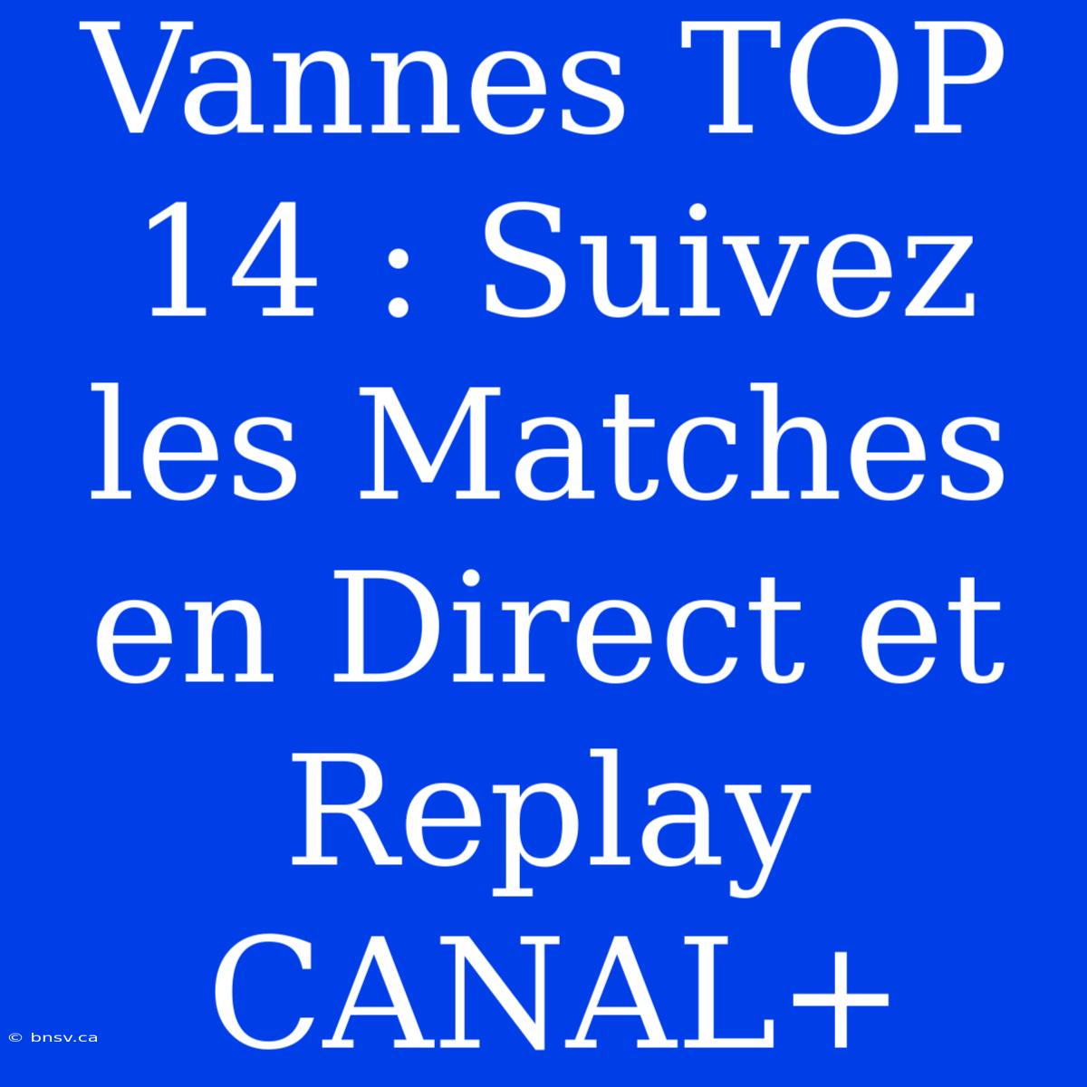 Vannes TOP 14 : Suivez Les Matches En Direct Et Replay CANAL+