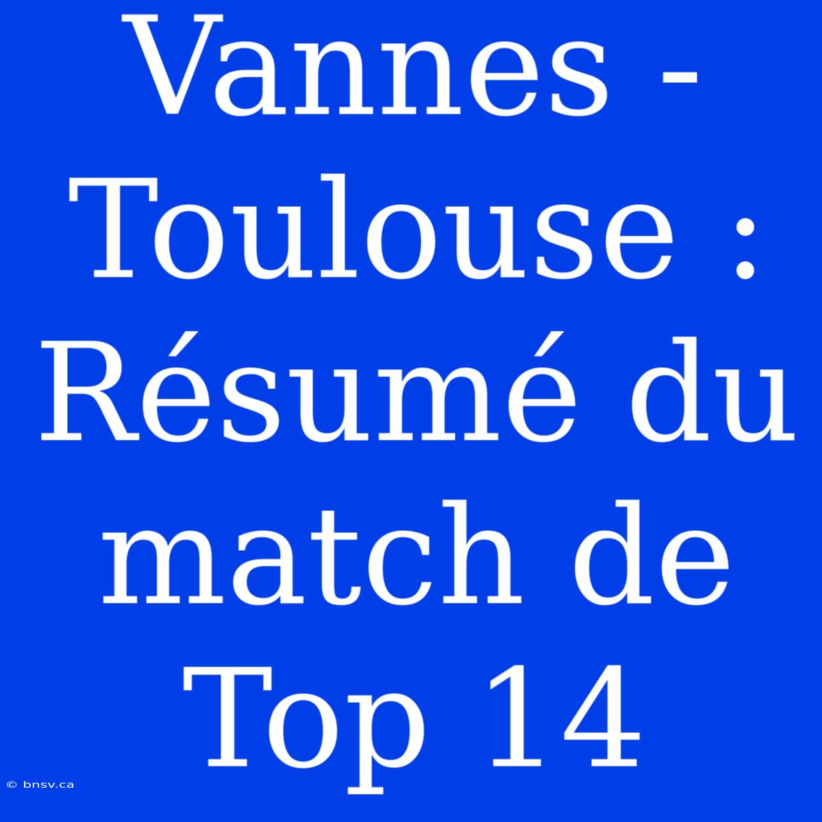 Vannes - Toulouse : Résumé Du Match De Top 14