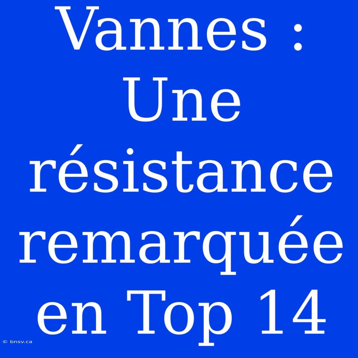 Vannes : Une Résistance Remarquée En Top 14