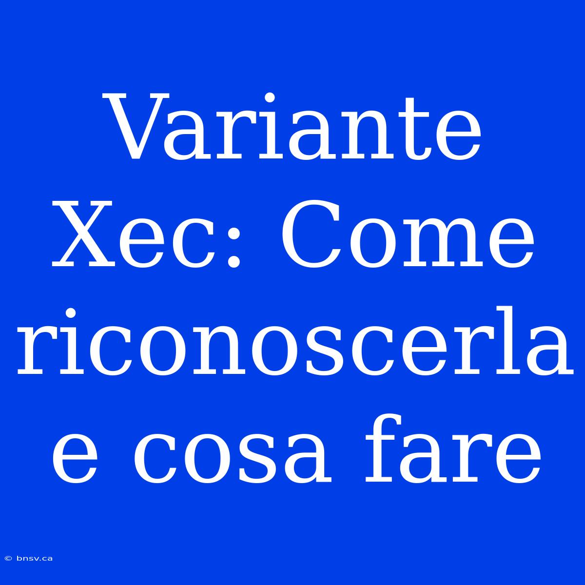 Variante Xec: Come Riconoscerla E Cosa Fare