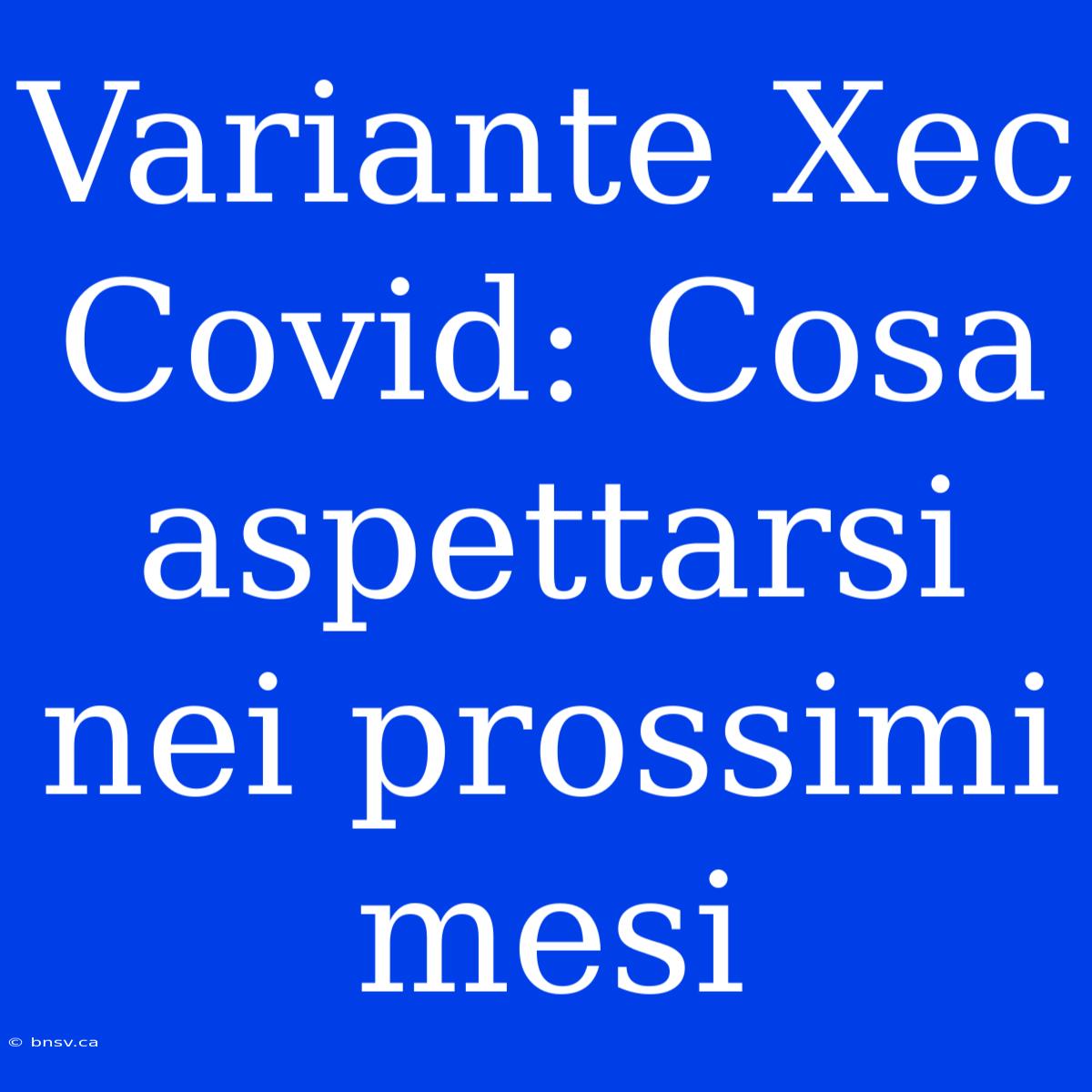 Variante Xec Covid: Cosa Aspettarsi Nei Prossimi Mesi