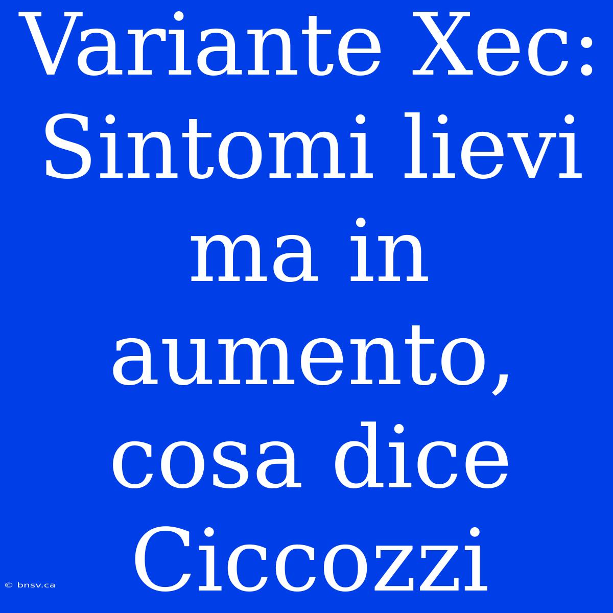 Variante Xec:  Sintomi Lievi Ma In Aumento, Cosa Dice Ciccozzi