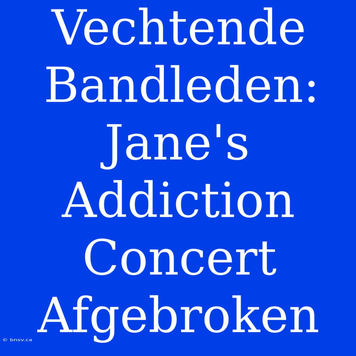 Vechtende Bandleden: Jane's Addiction Concert Afgebroken