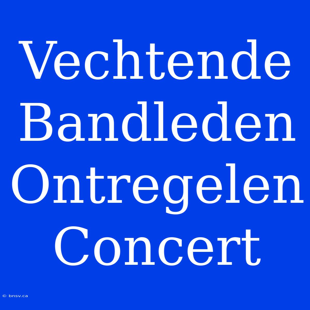 Vechtende Bandleden Ontregelen Concert