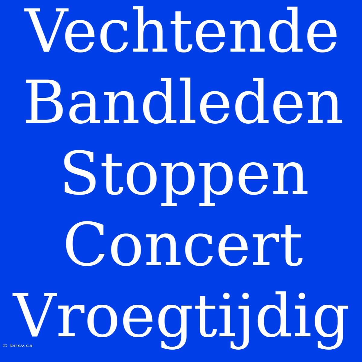 Vechtende Bandleden Stoppen Concert Vroegtijdig