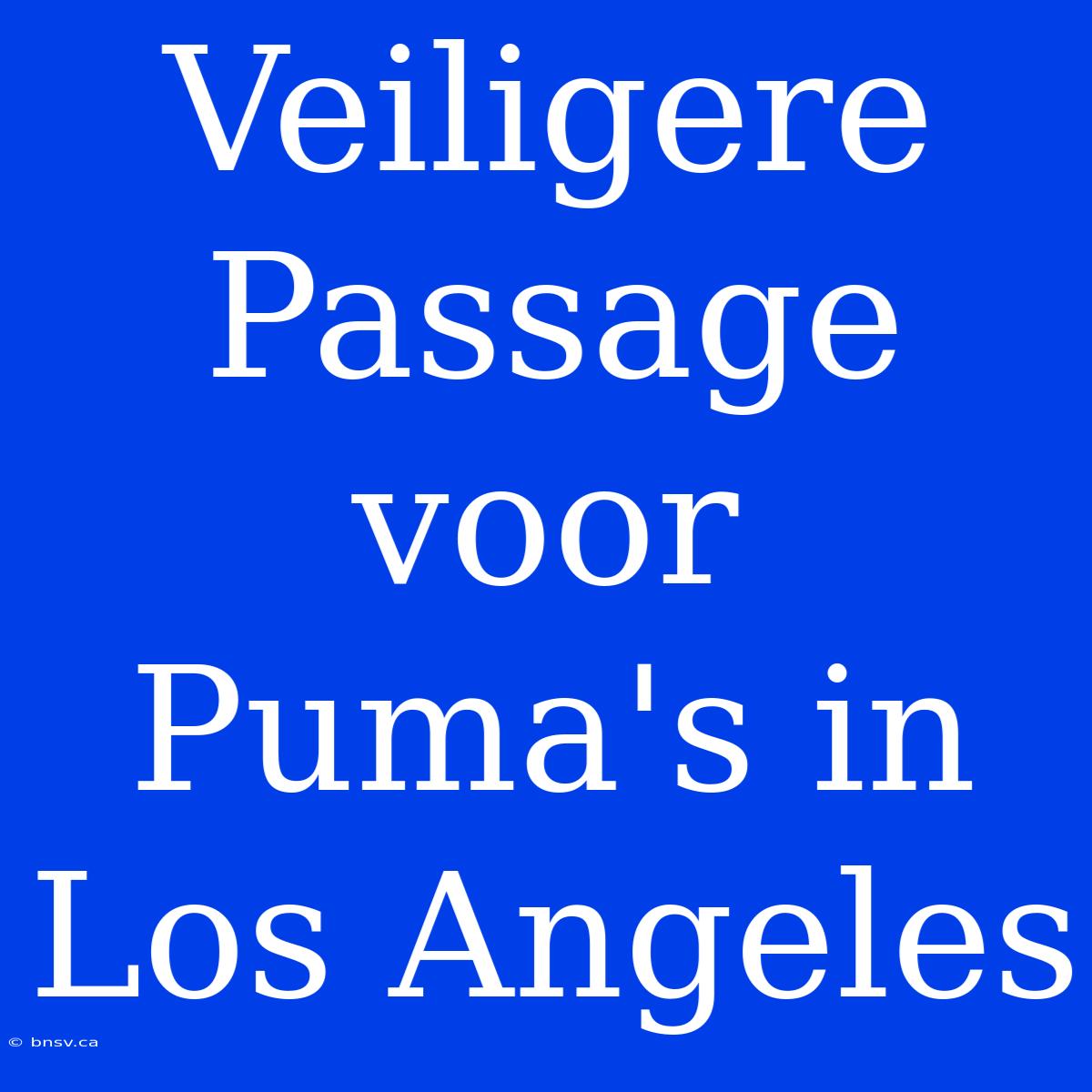 Veiligere Passage Voor Puma's In Los Angeles