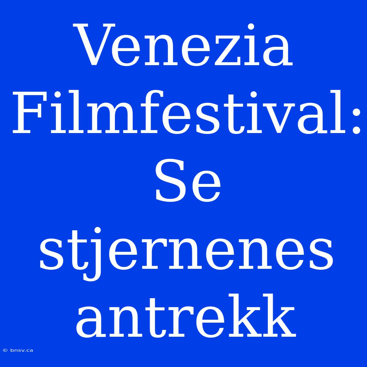 Venezia Filmfestival: Se Stjernenes Antrekk