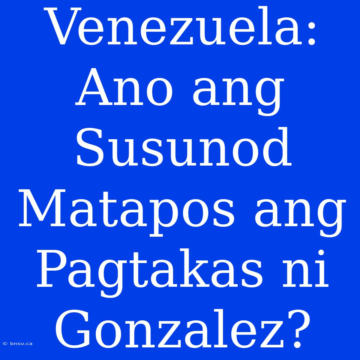 Venezuela: Ano Ang Susunod Matapos Ang Pagtakas Ni Gonzalez?