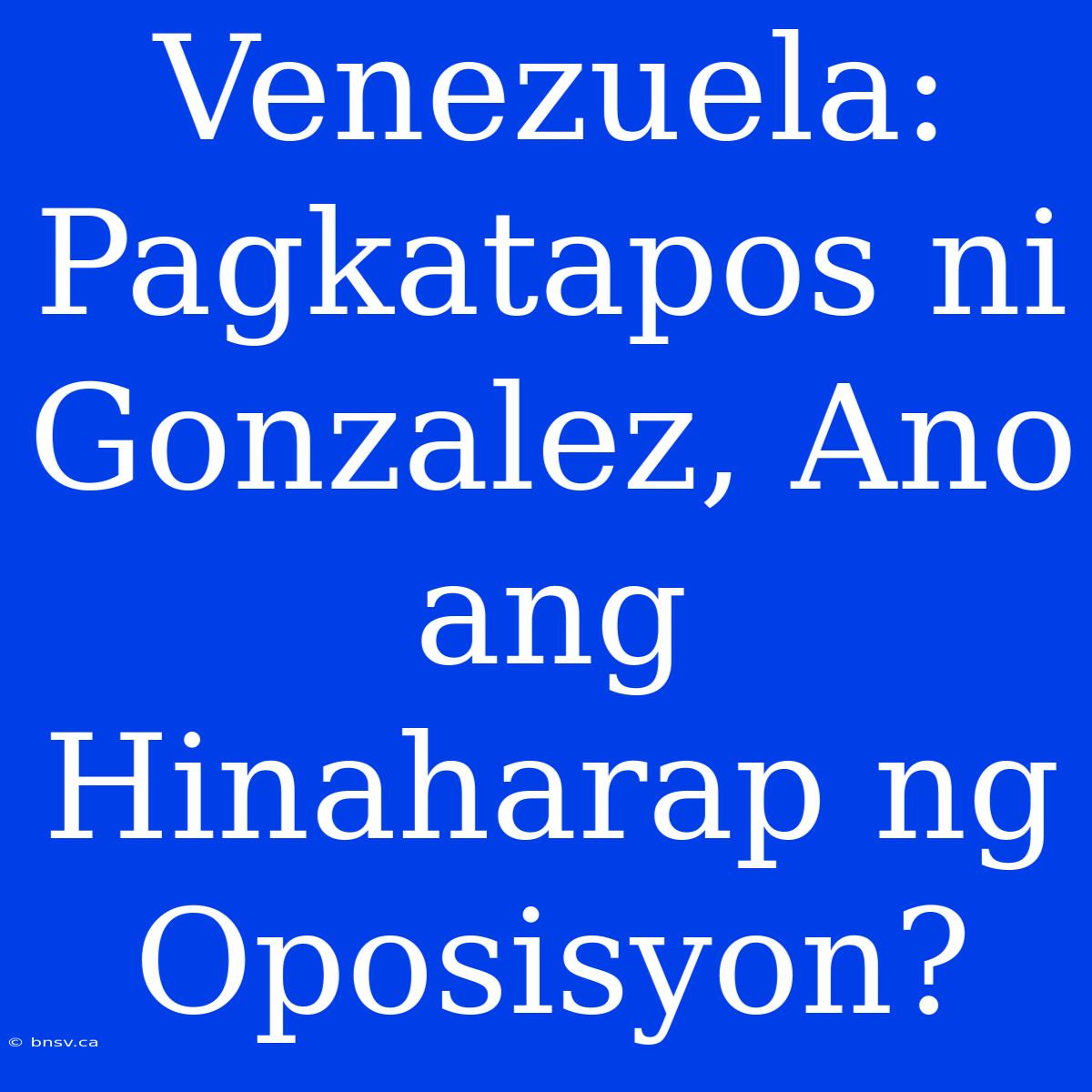 Venezuela: Pagkatapos Ni Gonzalez, Ano Ang Hinaharap Ng Oposisyon?