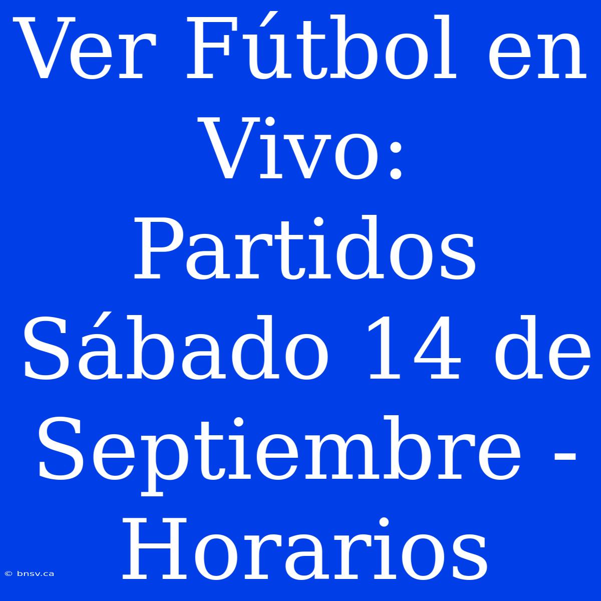 Ver Fútbol En Vivo: Partidos Sábado 14 De Septiembre - Horarios