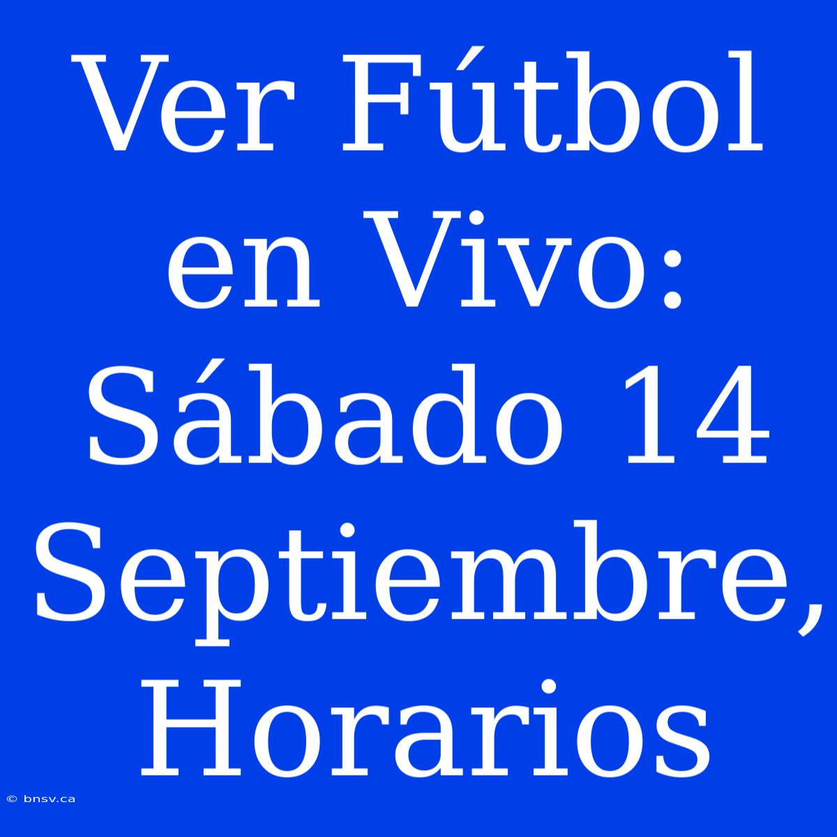 Ver Fútbol En Vivo: Sábado 14 Septiembre, Horarios