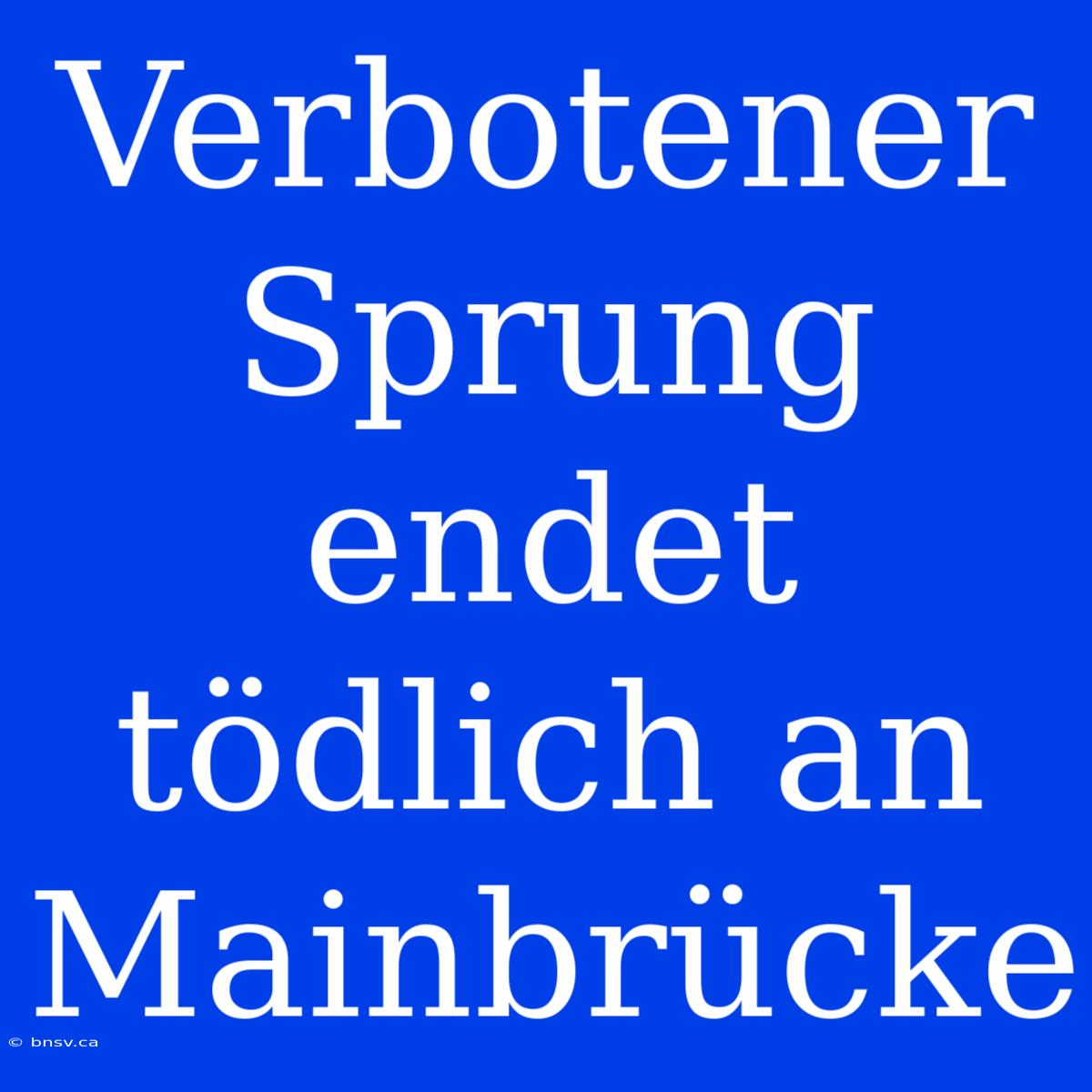 Verbotener Sprung Endet Tödlich An Mainbrücke