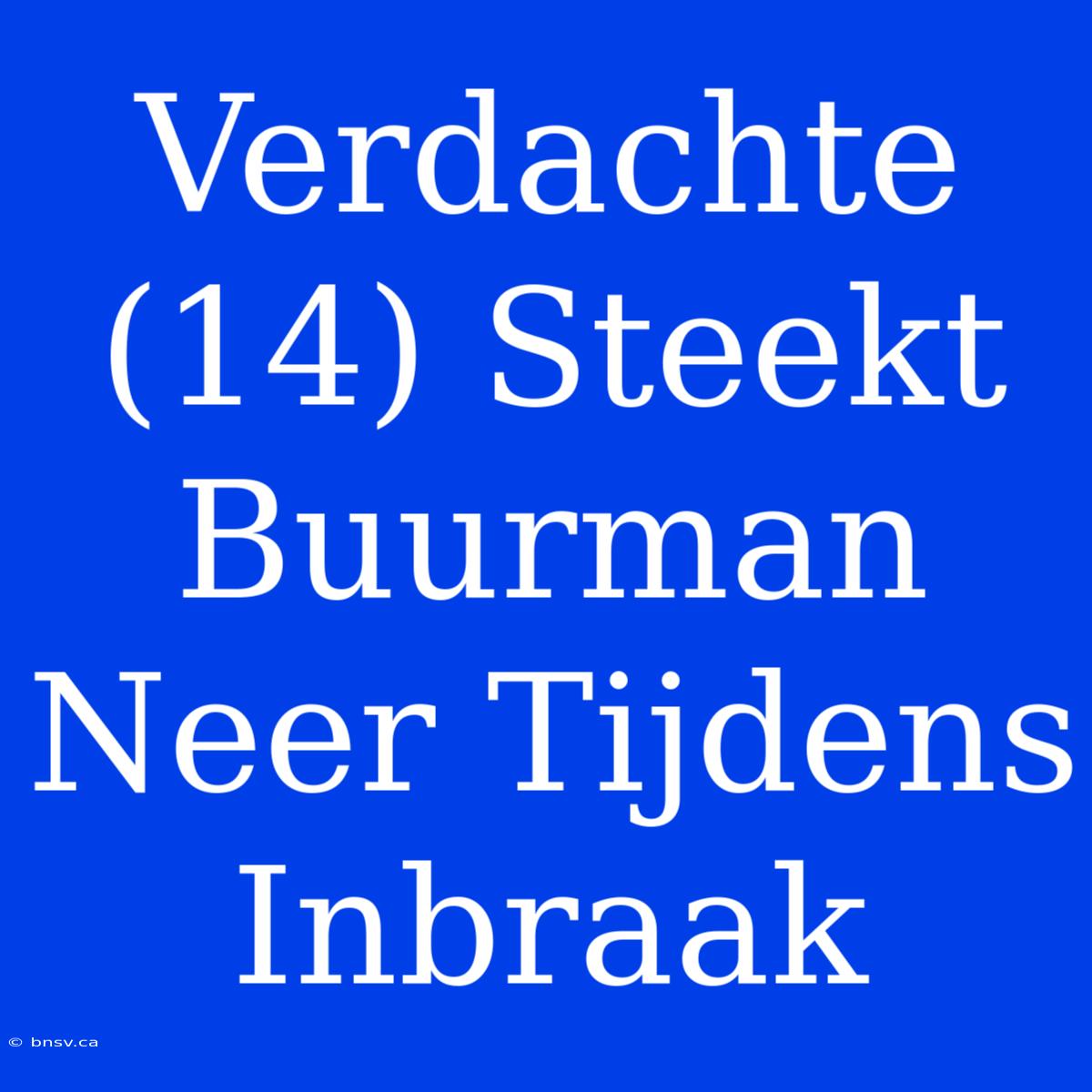 Verdachte (14) Steekt Buurman Neer Tijdens Inbraak