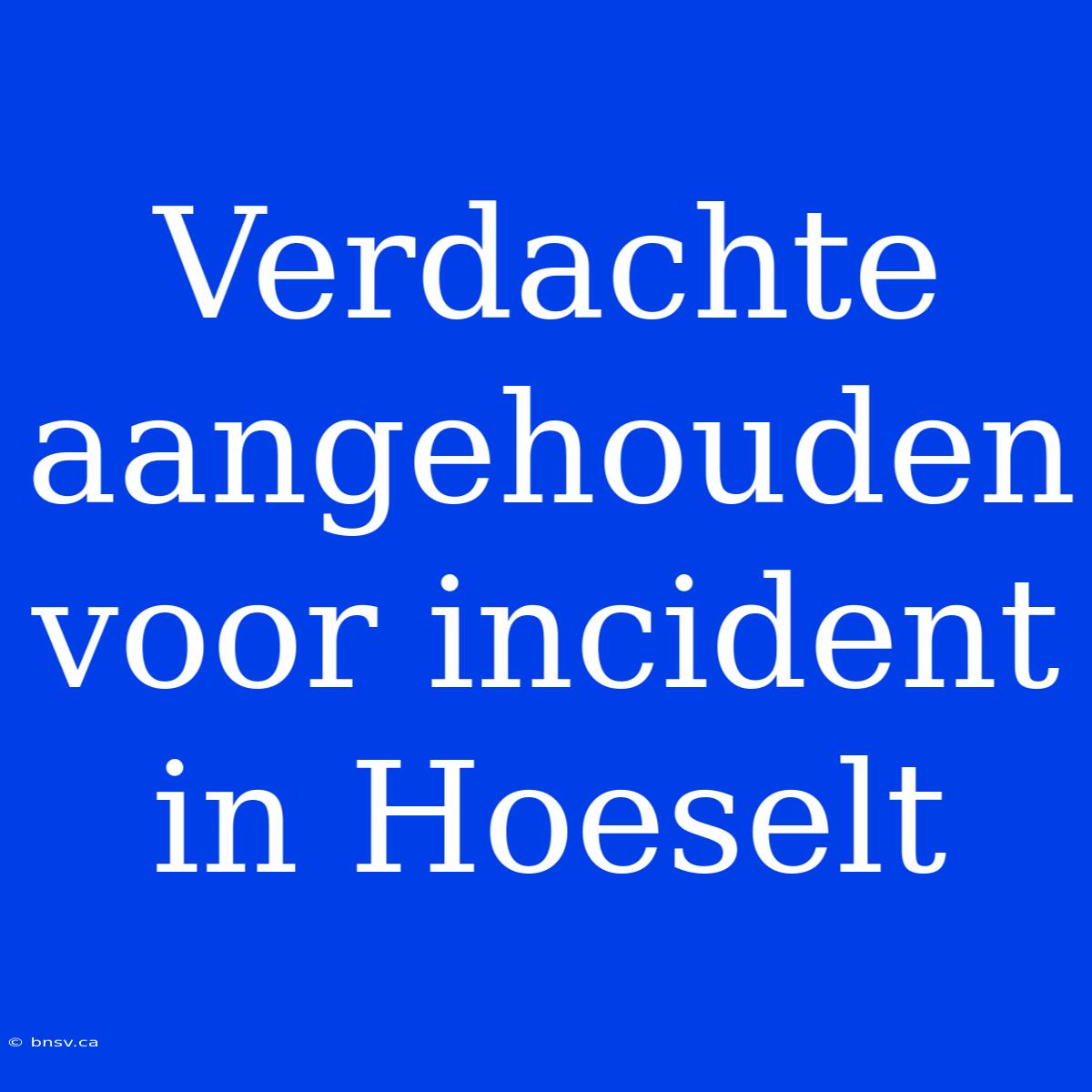 Verdachte Aangehouden Voor Incident In Hoeselt