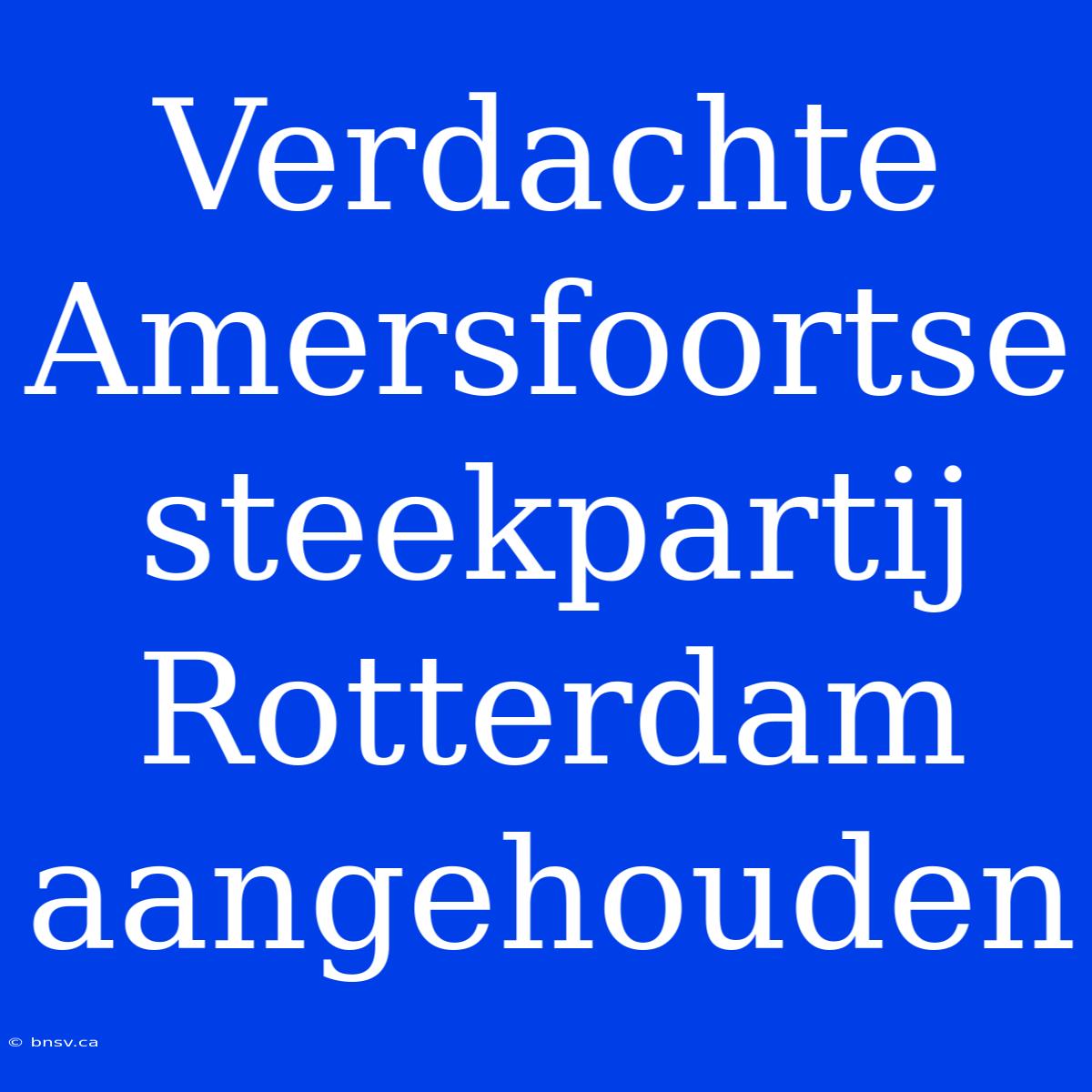 Verdachte Amersfoortse Steekpartij Rotterdam Aangehouden