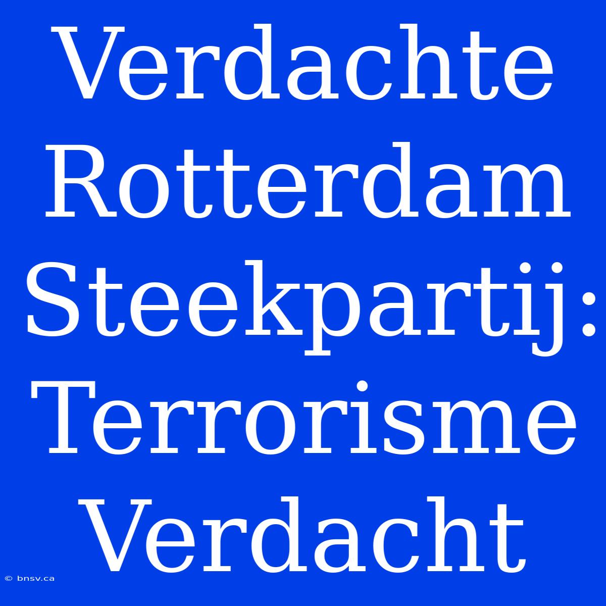 Verdachte Rotterdam Steekpartij: Terrorisme Verdacht