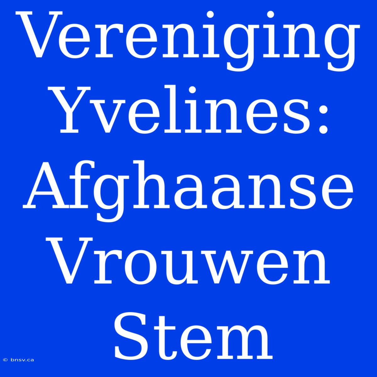 Vereniging Yvelines: Afghaanse Vrouwen Stem