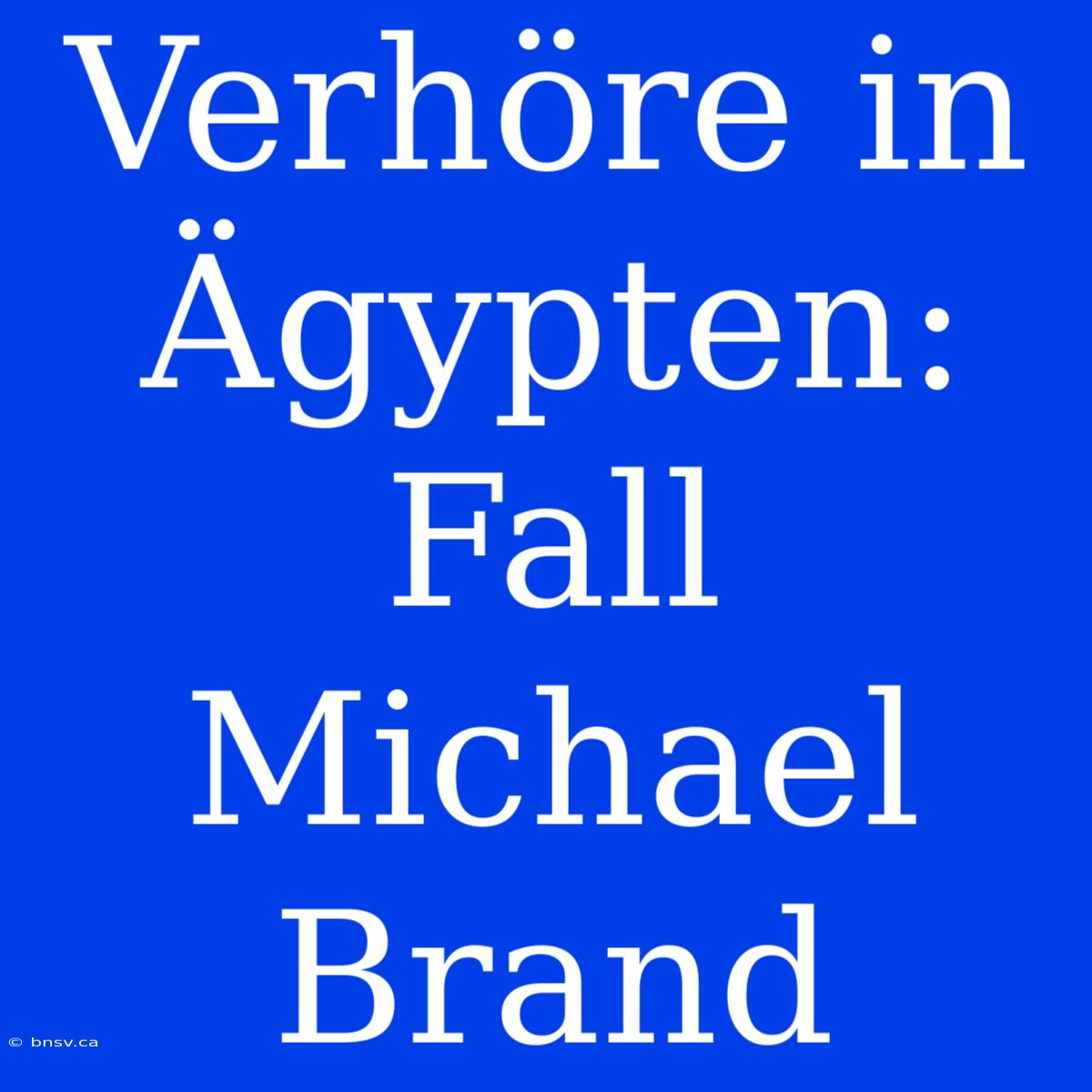 Verhöre In Ägypten: Fall Michael Brand