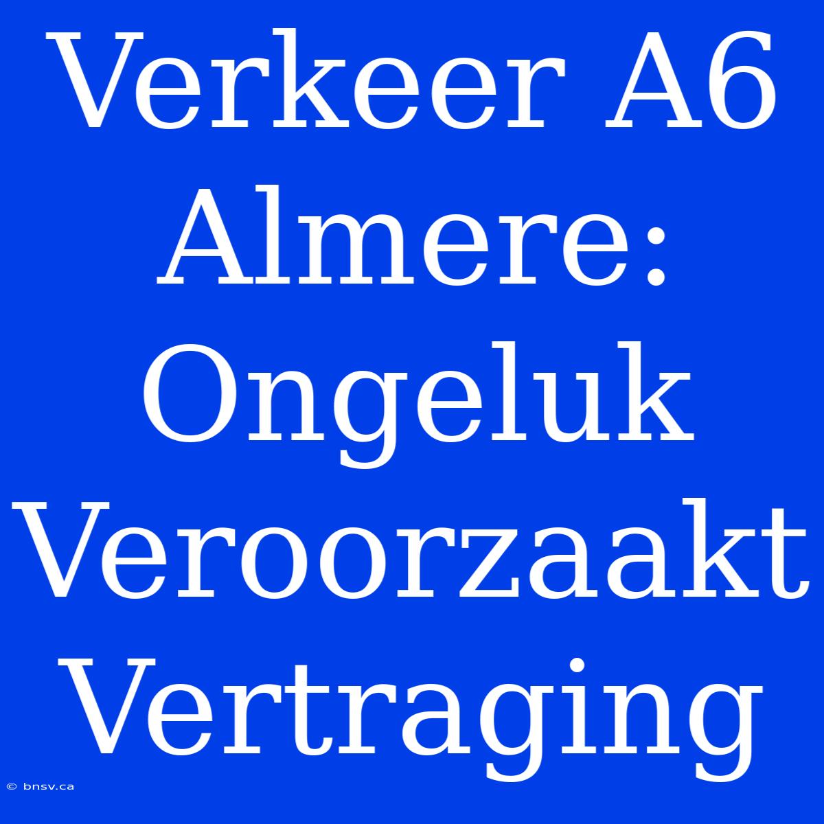 Verkeer A6 Almere: Ongeluk Veroorzaakt Vertraging