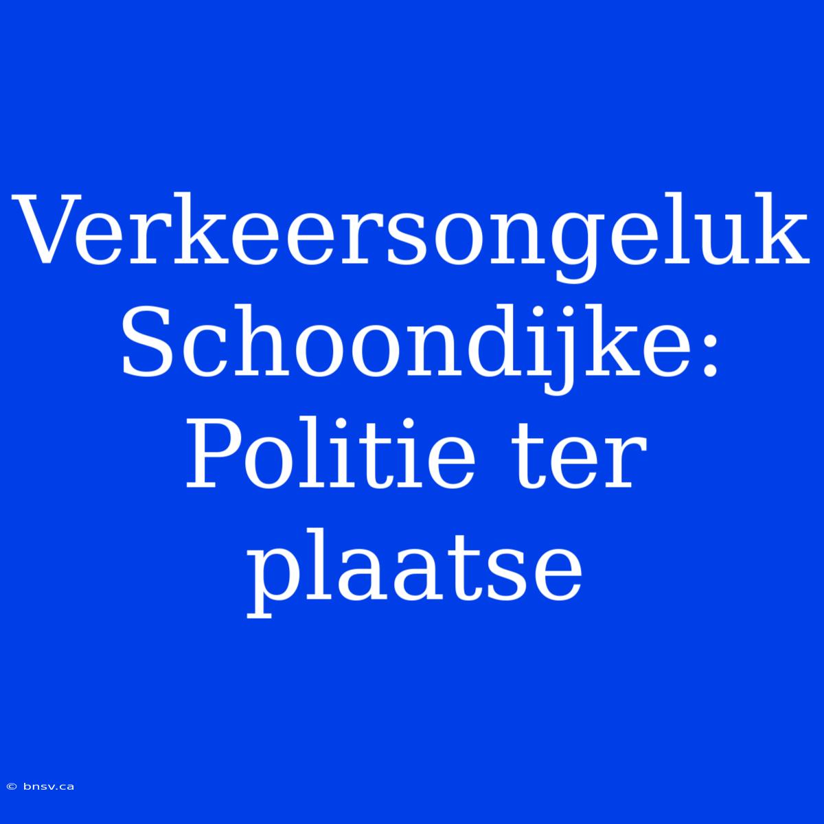 Verkeersongeluk Schoondijke:  Politie Ter Plaatse