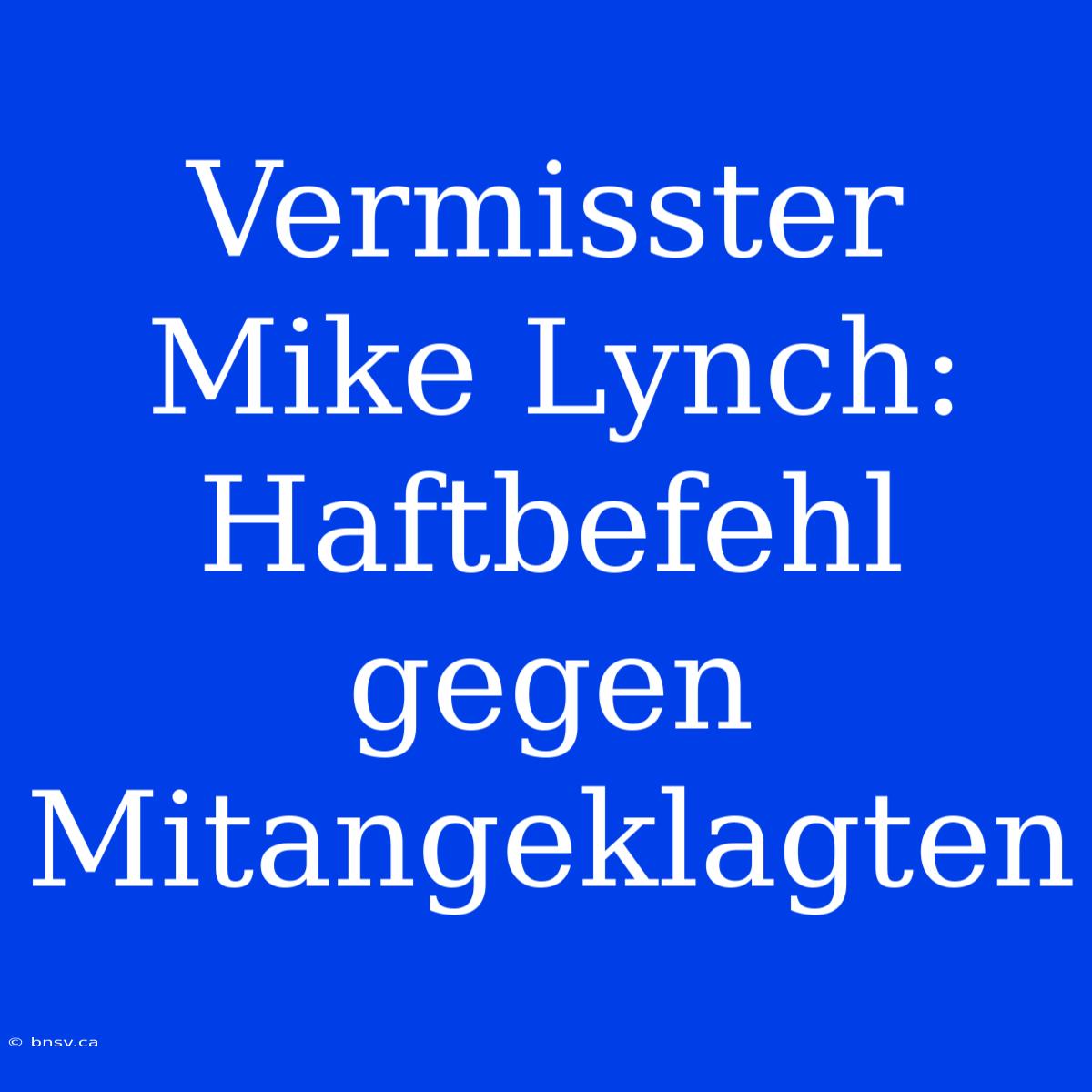 Vermisster Mike Lynch: Haftbefehl Gegen Mitangeklagten