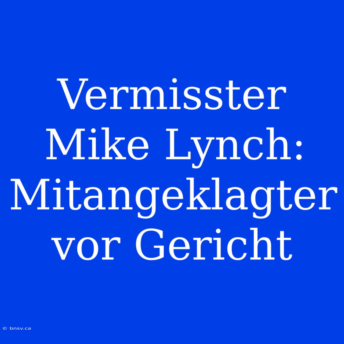 Vermisster Mike Lynch: Mitangeklagter Vor Gericht