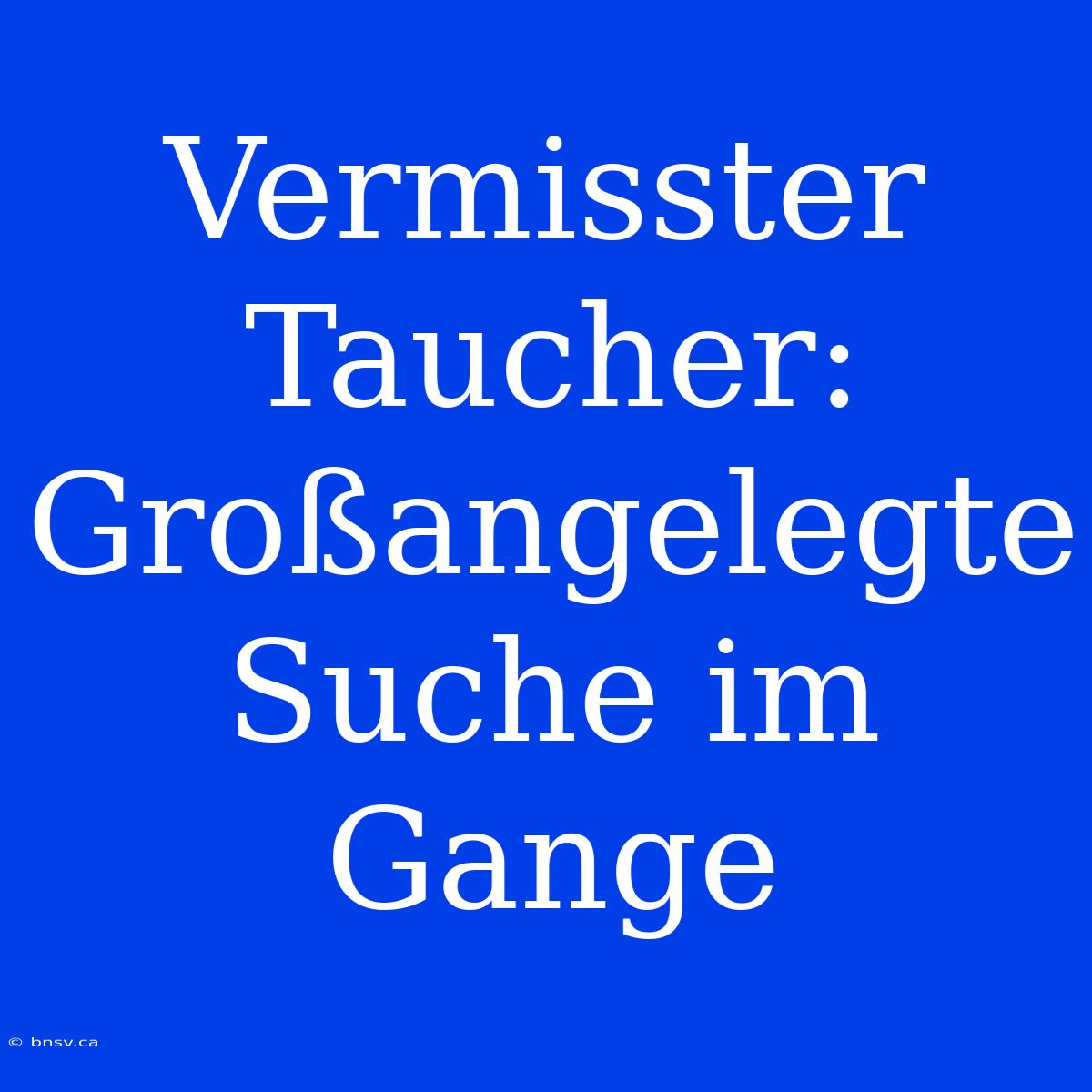 Vermisster Taucher: Großangelegte Suche Im Gange