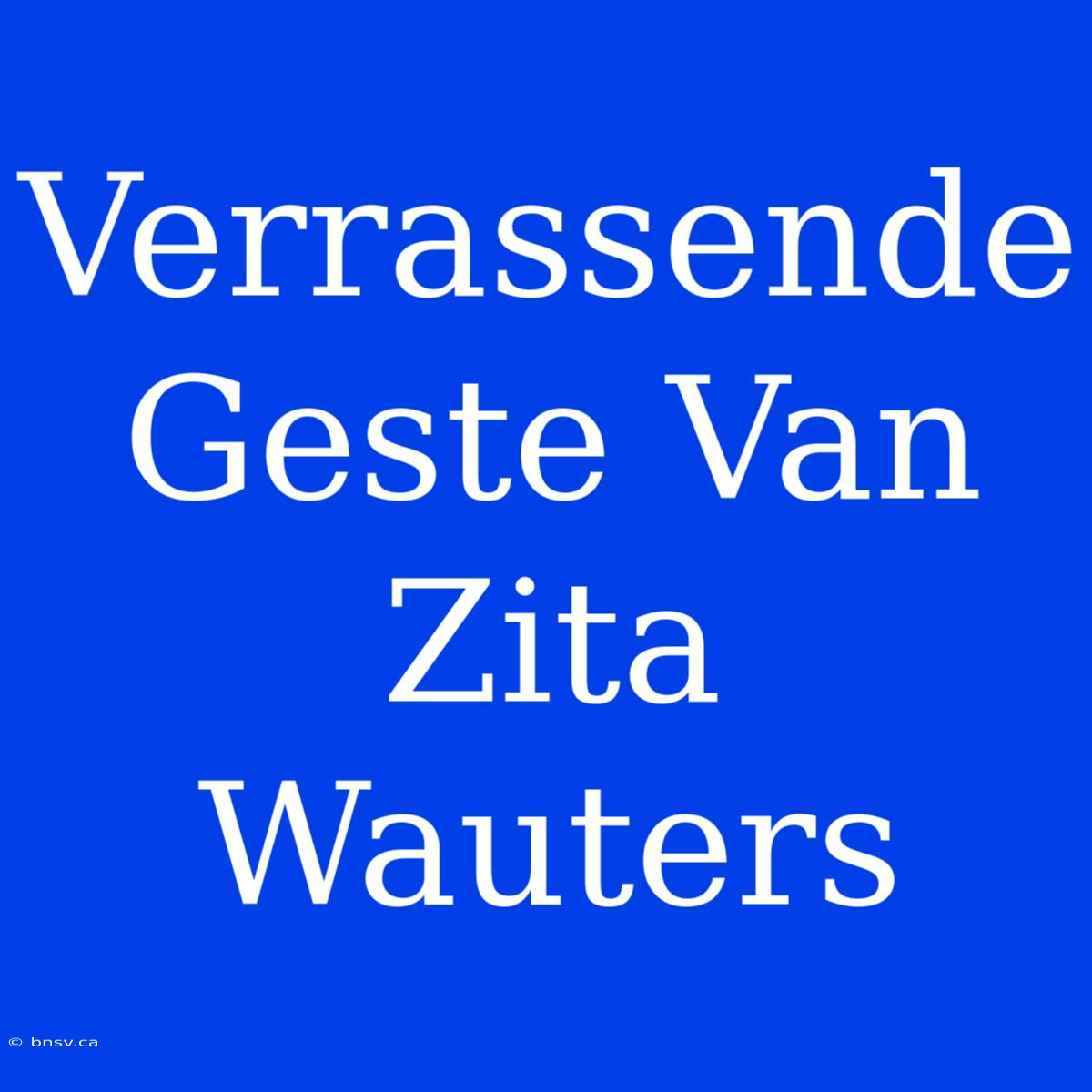 Verrassende Geste Van Zita Wauters