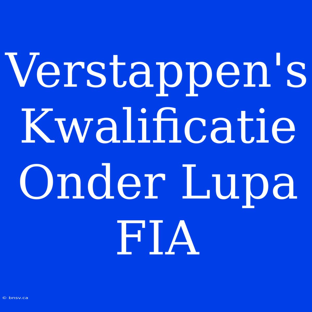 Verstappen's Kwalificatie Onder Lupa FIA