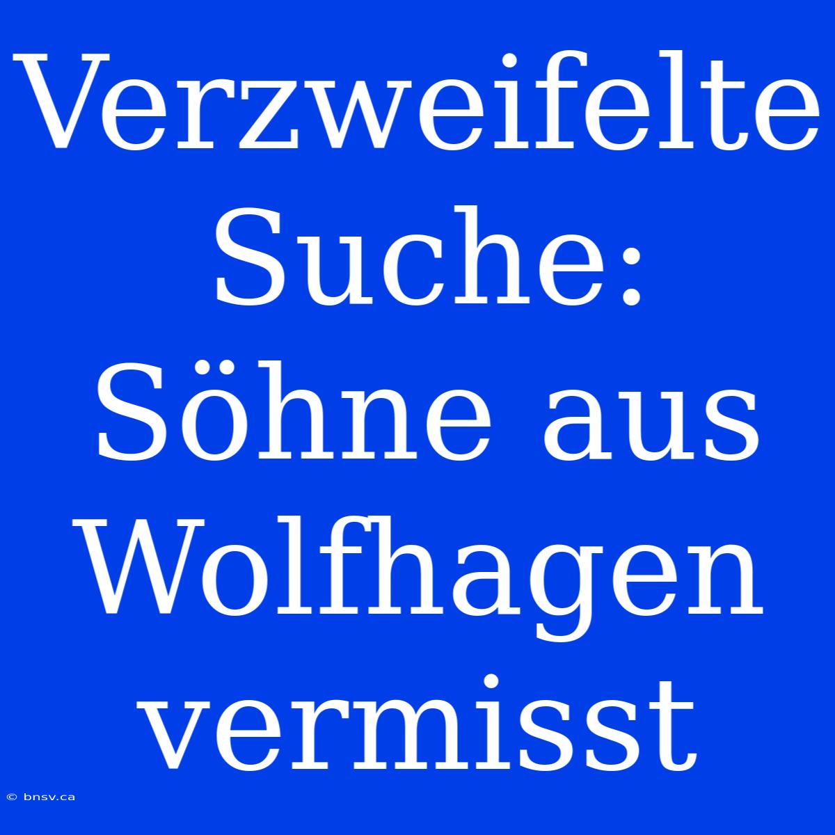 Verzweifelte Suche: Söhne Aus Wolfhagen Vermisst