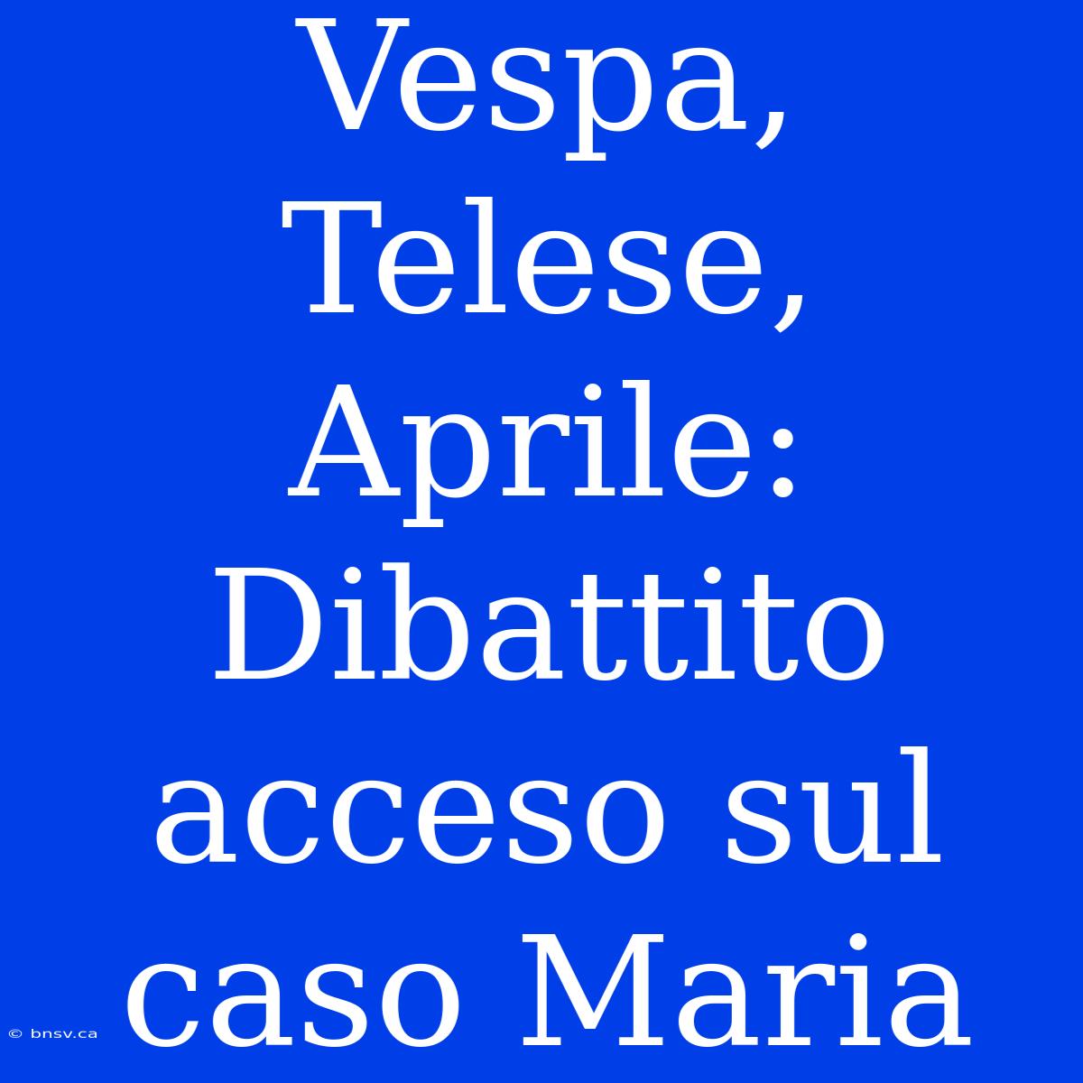 Vespa, Telese, Aprile: Dibattito Acceso Sul Caso Maria