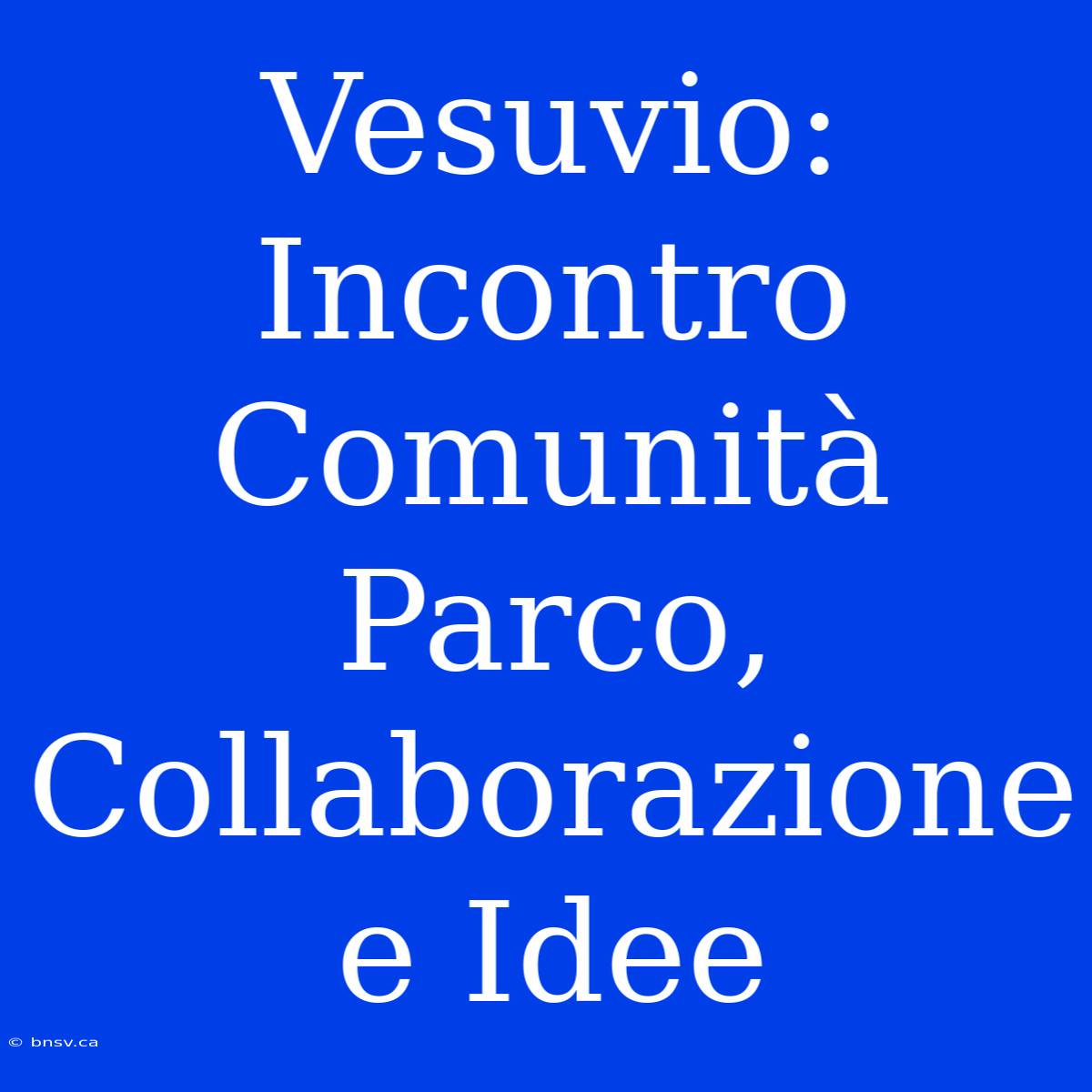 Vesuvio: Incontro Comunità Parco, Collaborazione E Idee